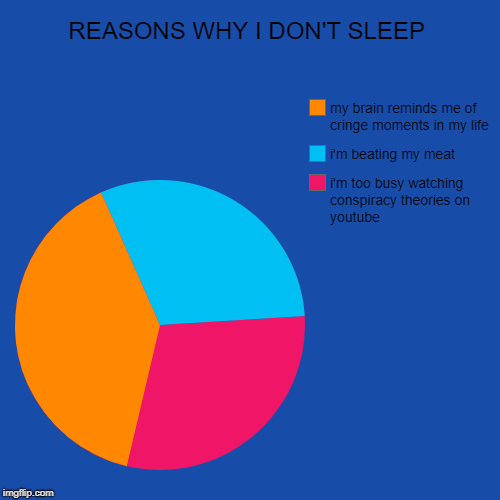 REASONS WHY I DON'T SLEEP | i'm too busy watching conspiracy theories on youtube , i'm beating my meat, my brain reminds me of cringe moment | image tagged in funny,pie charts | made w/ Imgflip chart maker
