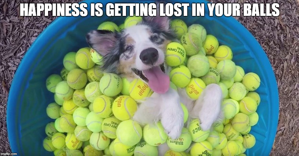 HAPPINESS IS GETTING LOST IN YOUR BALLS | made w/ Imgflip meme maker