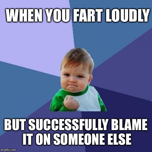 Success Kid Meme | WHEN YOU FART LOUDLY; BUT SUCCESSFULLY BLAME IT ON SOMEONE ELSE | image tagged in memes,success kid | made w/ Imgflip meme maker