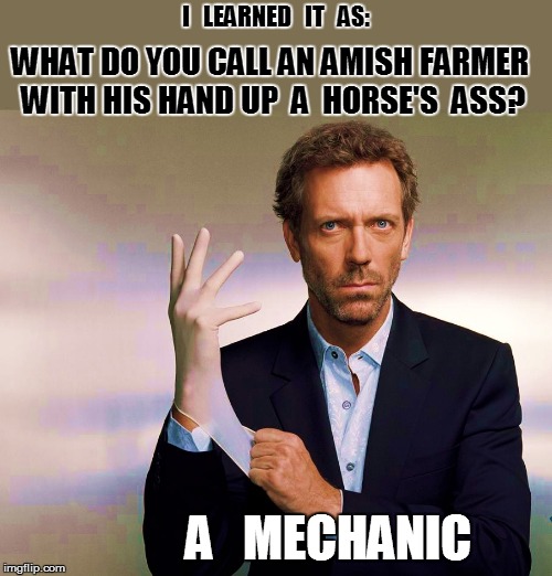 I   LEARNED   IT   AS: A   MECHANIC WHAT DO YOU CALL AN AMISH FARMER WITH HIS HAND UP  A  HORSE'S  ASS? | made w/ Imgflip meme maker