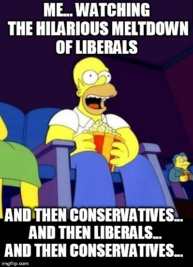 Me Watching | AND THEN CONSERVATIVES... AND THEN LIBERALS... AND THEN CONSERVATIVES... | image tagged in liberal,conservative,homer | made w/ Imgflip meme maker