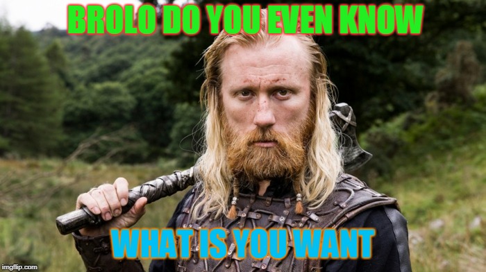 BROLO DO YOU EVEN KNOW; WHAT IS YOU WANT | image tagged in yarl borg | made w/ Imgflip meme maker