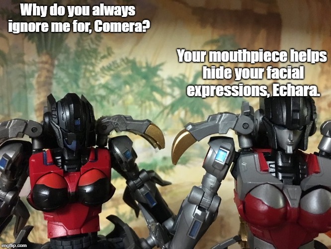 Echara & Comera | Why do you always ignore me for, Comera? Your mouthpiece helps hide your facial expressions, Echara. | image tagged in echara  comera | made w/ Imgflip meme maker