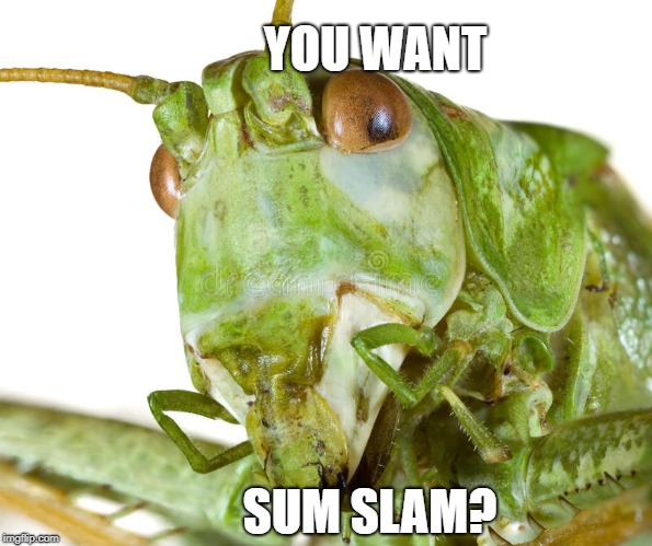 YOU WANT; SUM SLAM? | image tagged in metal | made w/ Imgflip meme maker
