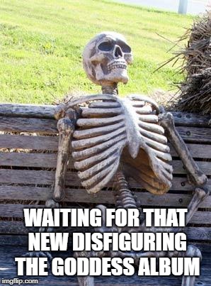 Waiting Skeleton | WAITING FOR THAT NEW DISFIGURING THE GODDESS ALBUM | image tagged in memes,waiting skeleton,metal | made w/ Imgflip meme maker