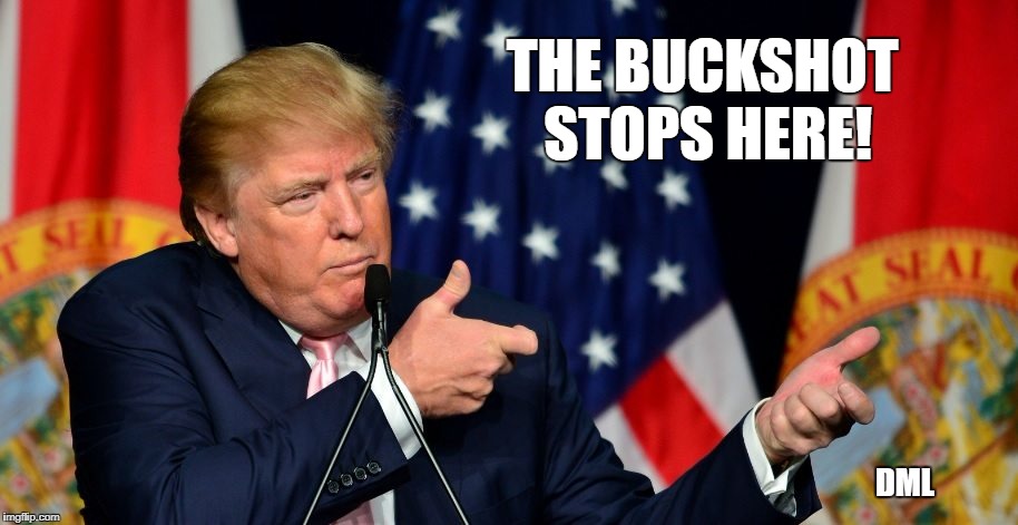 THE BUCK STOPS HERE |  THE BUCKSHOT STOPS HERE! DML | image tagged in donald trump,mass shooting,nra,fake news,enemy of the people | made w/ Imgflip meme maker
