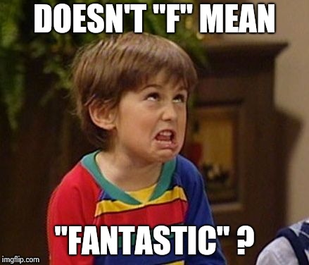 DOESN'T "F" MEAN "FANTASTIC" ? | image tagged in wtf kid | made w/ Imgflip meme maker