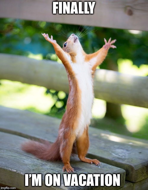 happy squirrel | FINALLY; I’M ON VACATION | image tagged in happy squirrel | made w/ Imgflip meme maker