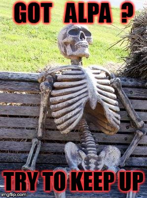 Waiting Skeleton Meme | GOT   ALPA  ? TRY TO KEEP UP | image tagged in memes,waiting skeleton | made w/ Imgflip meme maker