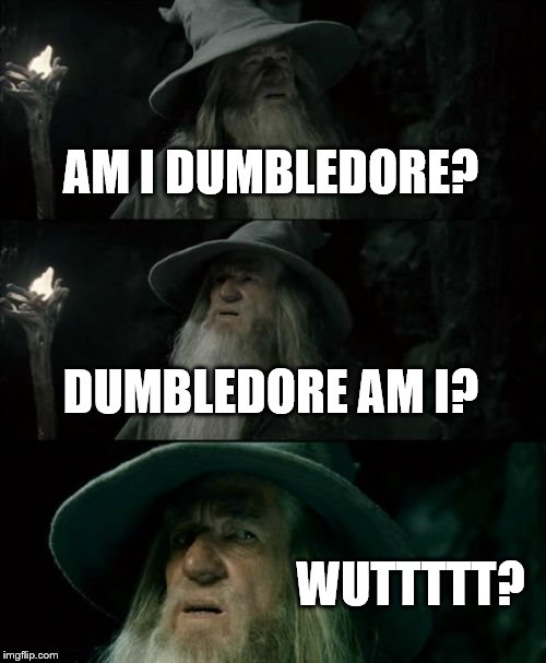 Confused Gandalf | AM I DUMBLEDORE? DUMBLEDORE AM I? WUTTTTT? | image tagged in memes,confused gandalf | made w/ Imgflip meme maker