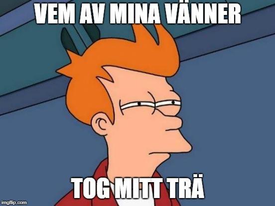 Futurama Fry Meme | VEM AV MINA VÄNNER; TOG MITT TRÄ | image tagged in memes,futurama fry | made w/ Imgflip meme maker