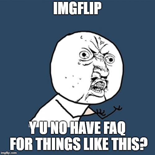 Y U No Meme | IMGFLIP Y U NO HAVE FAQ FOR THINGS LIKE THIS? | image tagged in memes,y u no | made w/ Imgflip meme maker