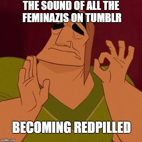 Tumblr Redpilled | THE SOUND OF ALL THE FEMINAZIS ON TUMBLR; BECOMING REDPILLED | image tagged in pancha,red pill,tumblr,femenist,feminazi | made w/ Imgflip meme maker