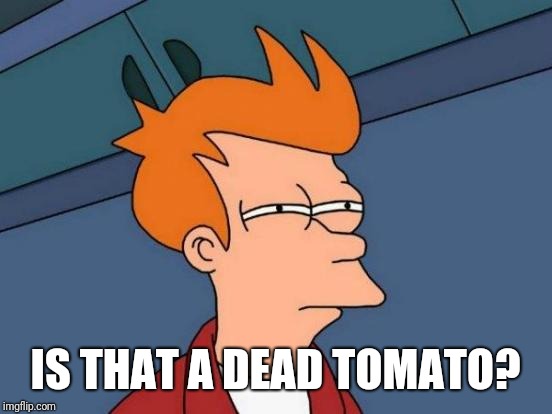 Futurama Fry Meme | IS THAT A DEAD TOMATO? | image tagged in memes,futurama fry | made w/ Imgflip meme maker