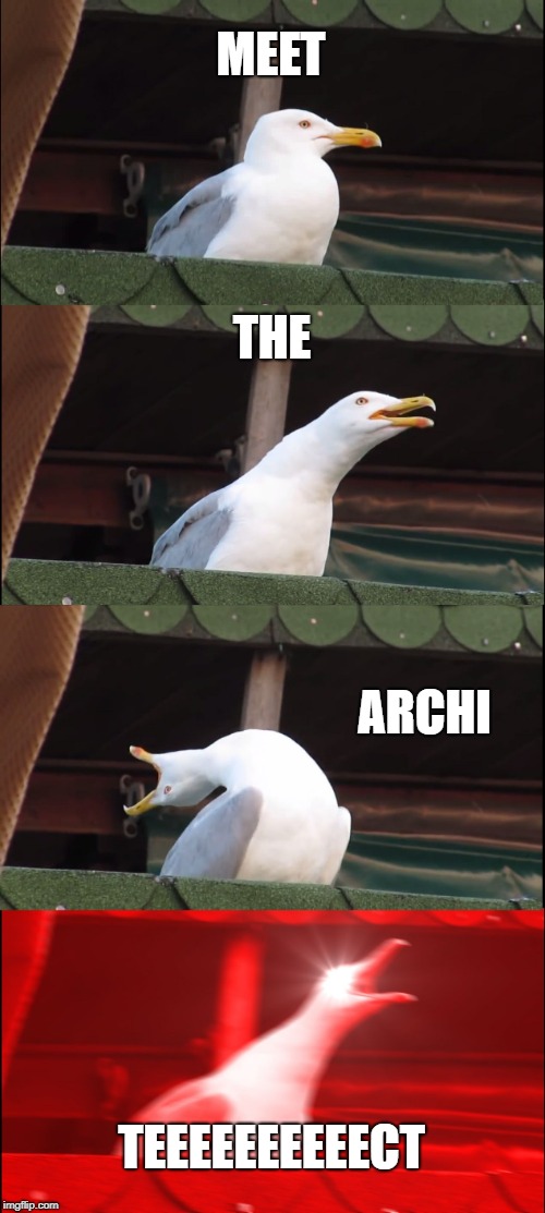 Inhaling Seagull Meme | MEET; THE; ARCHI; TEEEEEEEEEECT | image tagged in memes,inhaling seagull | made w/ Imgflip meme maker