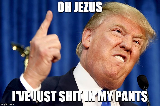 Donald Trump | OH JEZUS; I'VE JUST SHIT IN MY PANTS | image tagged in donald trump | made w/ Imgflip meme maker