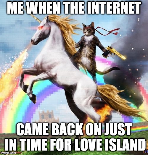 Welcome To The Internets Meme | ME WHEN THE INTERNET; CAME BACK ON JUST IN TIME FOR LOVE ISLAND | image tagged in memes,welcome to the internets | made w/ Imgflip meme maker