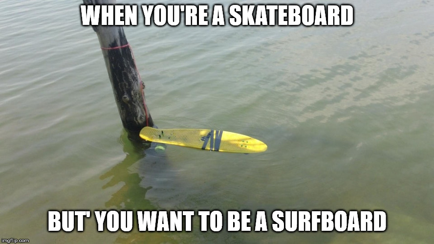 WHEN YOU'RE A SKATEBOARD; BUT' YOU WANT TO BE A SURFBOARD | image tagged in i want to be a surfboard | made w/ Imgflip meme maker