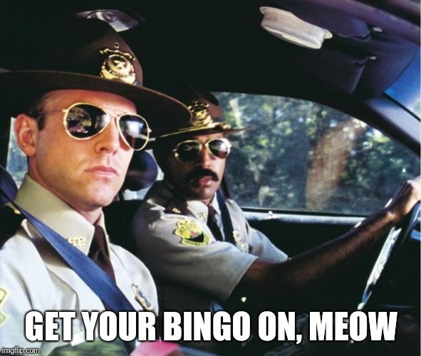 GET YOUR BINGO ON, MEOW | made w/ Imgflip meme maker