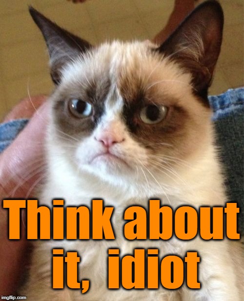 Grumpy Cat Meme | Think about it,  idiot | image tagged in memes,grumpy cat | made w/ Imgflip meme maker