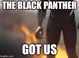Here we go again | THE BLACK PANTHER; GOT US | image tagged in marvel,black panther | made w/ Imgflip meme maker