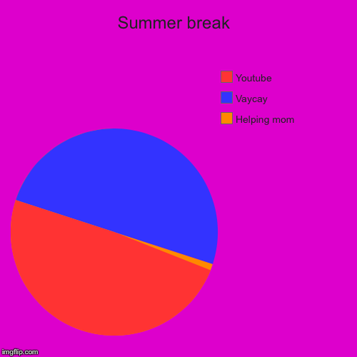 Summer break  | Helping mom, Vaycay, Youtube | image tagged in funny,pie charts | made w/ Imgflip chart maker