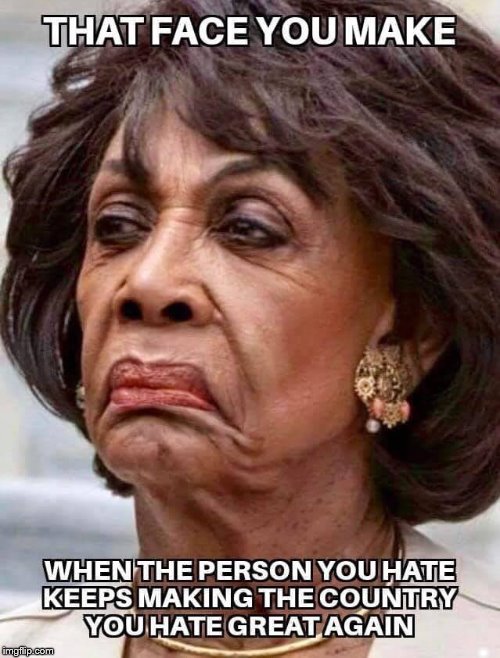 she is a complete idiot | . | image tagged in maxine waters | made w/ Imgflip meme maker