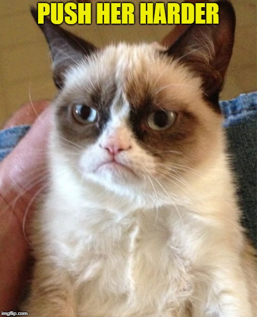 Grumpy Cat Meme | PUSH HER HARDER | image tagged in memes,grumpy cat | made w/ Imgflip meme maker