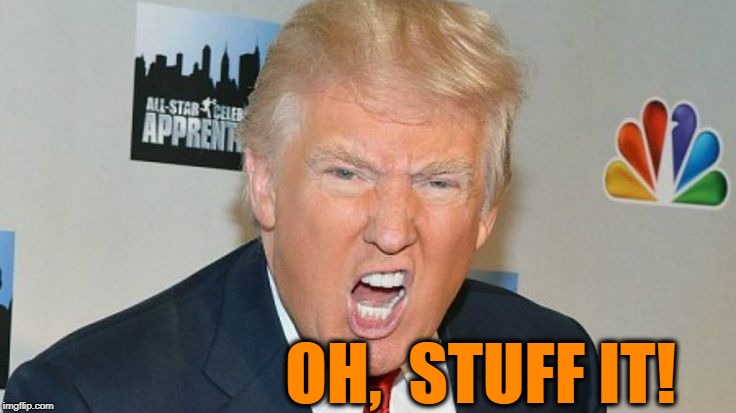 OH,  STUFF IT! | image tagged in trump mad | made w/ Imgflip meme maker