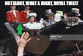 NOTTABOT, WHAT A RIGHT, ROYAL TWAT! | made w/ Imgflip meme maker