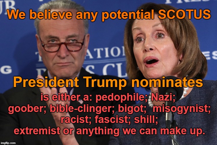 Pelosi & Schumer re SCOTUS | We believe any potential SCOTUS; President Trump nominates; is either a: pedophile; Nazi; goober; bible-clinger; bigot;  misogynist; racist; fascist; shill; extremist or anything we can make up. | image tagged in pelosi,liberals,schumer,scotus | made w/ Imgflip meme maker