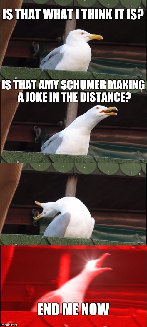 Everyone's reaction | IS THAT WHAT I THINK IT IS? IS THAT AMY SCHUMER MAKING A JOKE IN THE DISTANCE? END ME NOW | image tagged in memes,inhaling seagull | made w/ Imgflip meme maker