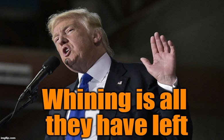 Whining is all they have left | made w/ Imgflip meme maker