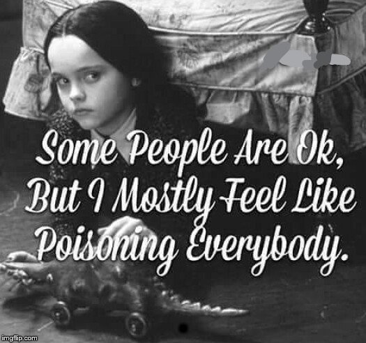 Dontcha Just Hate People?
(Not my creation - found) | . | image tagged in people,wednesday addams | made w/ Imgflip meme maker