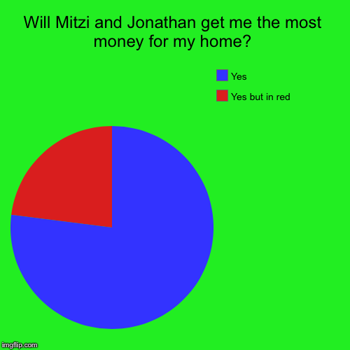Will Mitzi and Jonathan get me the most money for my home? | Yes but in red, Yes | image tagged in funny,pie charts | made w/ Imgflip chart maker