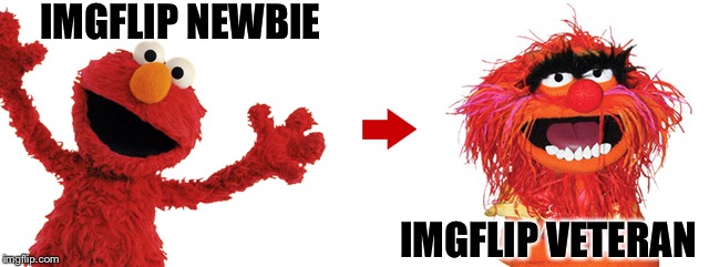 It's just a matter of time. | IMGFLIP NEWBIE; IMGFLIP VETERAN | image tagged in muppets,elmo,monster,memes,funny | made w/ Imgflip meme maker