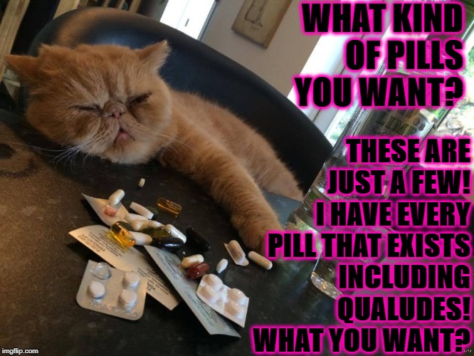 WHAT KIND OF PILLS YOU WANT? THESE ARE JUST A FEW! I HAVE EVERY PILL THAT EXISTS INCLUDING QUALUDES! WHAT YOU WANT? | image tagged in pill dealer cat | made w/ Imgflip meme maker