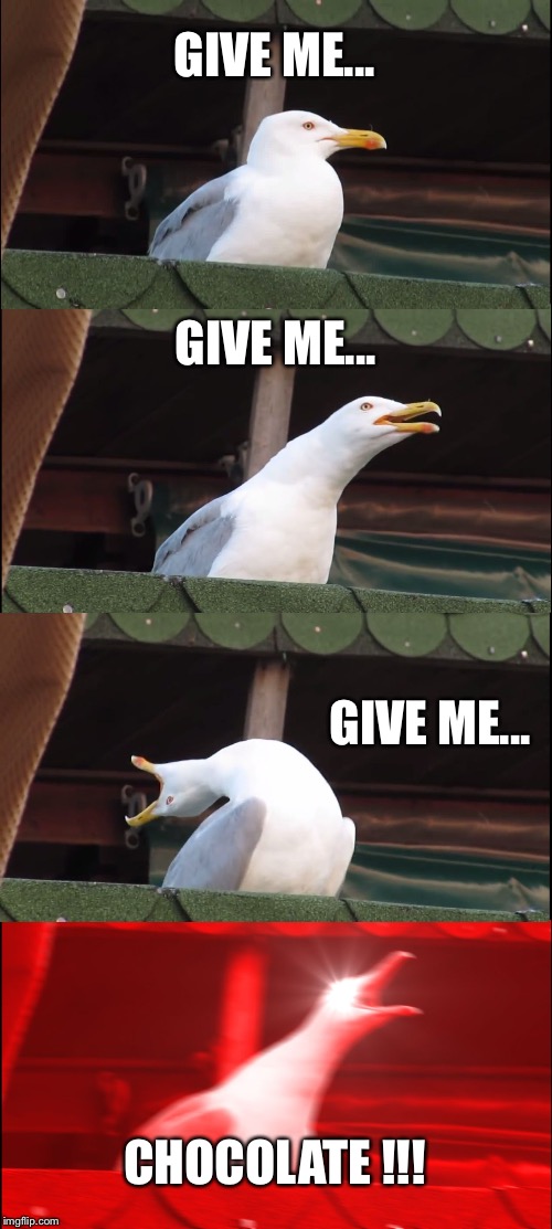 Give me chocolate !!! | GIVE ME... GIVE ME... GIVE ME... CHOCOLATE !!! | image tagged in memes,inhaling seagull | made w/ Imgflip meme maker