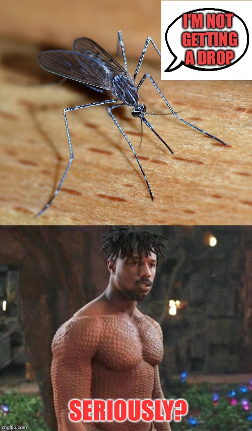 They really are merciless. | I'M NOT GETTING A DROP; SERIOUSLY? | image tagged in mosquitos,blood,memes,funny | made w/ Imgflip meme maker