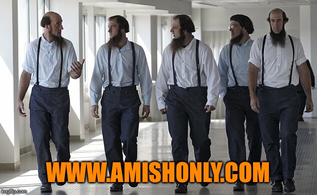 Amish Dating Site | WWW.AMISHONLY.COM | image tagged in funny memes,amish,online dating,lonely man,lonely ladies | made w/ Imgflip meme maker