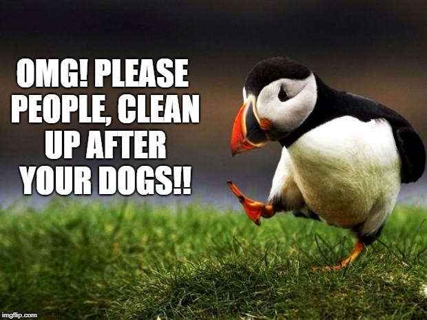 Unpopular Opinion Puffin Meme | OMG! PLEASE PEOPLE, CLEAN UP AFTER YOUR DOGS!! | image tagged in memes,unpopular opinion puffin | made w/ Imgflip meme maker