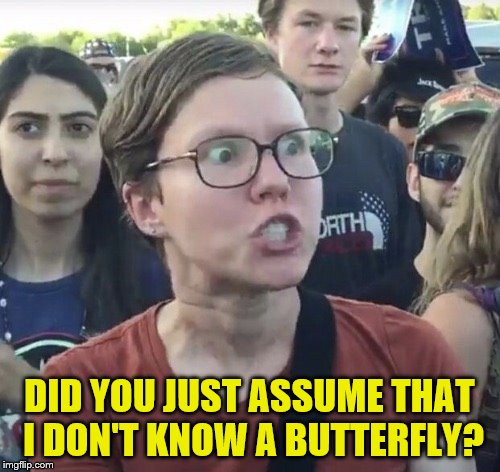 DID YOU JUST ASSUME THAT I DON'T KNOW A BUTTERFLY? | made w/ Imgflip meme maker