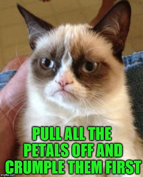 Grumpy Cat Meme | PULL ALL THE PETALS OFF AND CRUMPLE THEM FIRST | image tagged in memes,grumpy cat | made w/ Imgflip meme maker