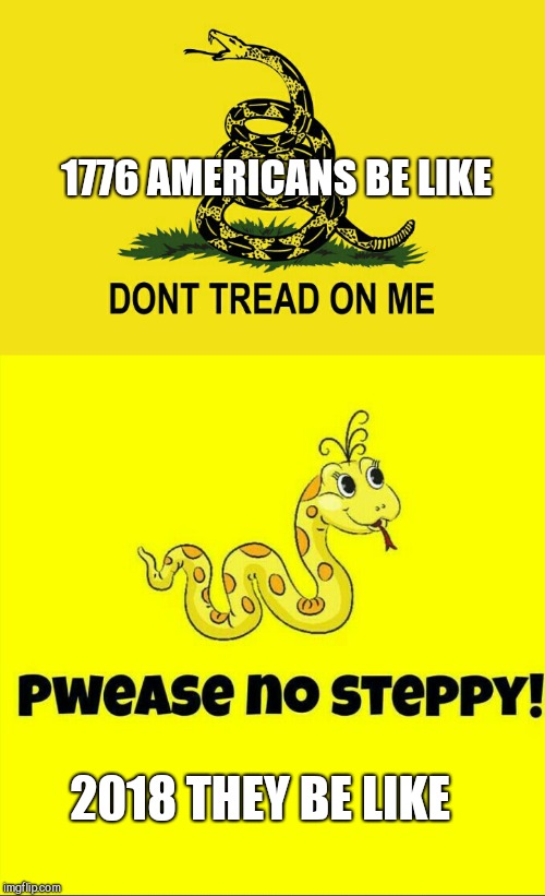 1776 AMERICANS BE LIKE; 2018 THEY BE LIKE | image tagged in don't tread on me,gadsden flag,jbmemegeek,americans,memes | made w/ Imgflip meme maker
