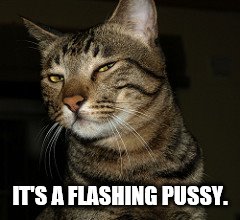 IT'S A FLASHING PUSSY. | made w/ Imgflip meme maker