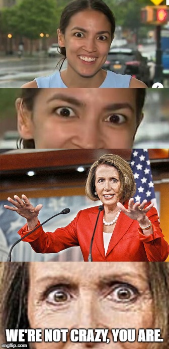 I'm...... Not........CRAZY!!!! | WE'RE NOT CRAZY, YOU ARE. | image tagged in stupid liberals,nancy pelosi,communist socialist,liberalism is a mental disorder,idiots | made w/ Imgflip meme maker