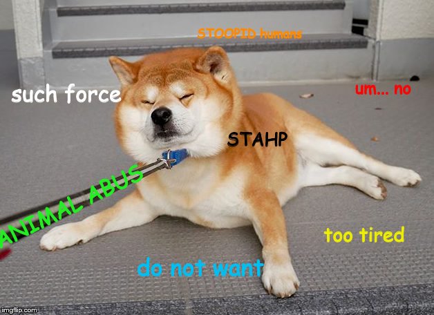 DOGE | STOOPID humans; um... no; such force; STAHP; ANIMAL ABUS; too tired; do not want | image tagged in memes,doge | made w/ Imgflip meme maker