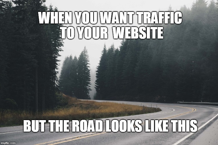 Road To Website No Traffic | WHEN YOU WANT TRAFFIC TO YOUR 
WEBSITE; BUT THE ROAD LOOKS LIKE THIS | image tagged in traffic to website looks empty | made w/ Imgflip meme maker