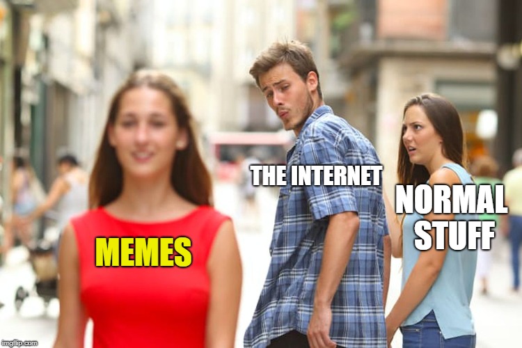 Distracted Boyfriend Meme | THE INTERNET; NORMAL STUFF; MEMES | image tagged in memes,distracted boyfriend | made w/ Imgflip meme maker