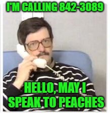 erlang the movie phone call | I'M CALLING 842-3089; HELLO, MAY I SPEAK TO PEACHES | image tagged in erlang the movie phone call | made w/ Imgflip meme maker